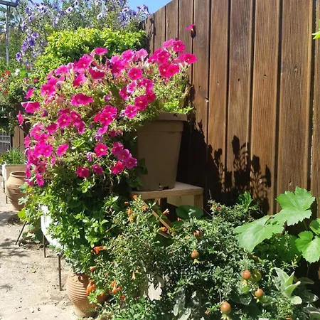 La Casa D'estate 2 * Lakíthra